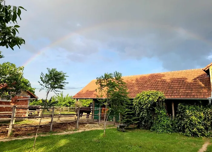 Apartmán Sobe - Palasthy *